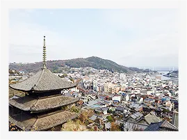 写真: 街を見下ろす寺