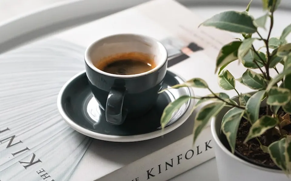 本と珈琲と植物